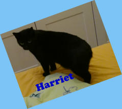 Harriet