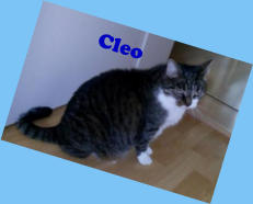 Cleo