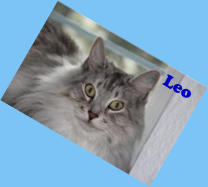 Leo