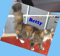 Betty