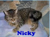 Nicky