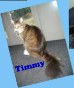 Timmy