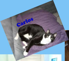 Carlos