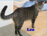 Leo