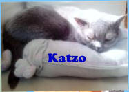 Katzo