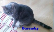 Barneby