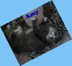 Amy