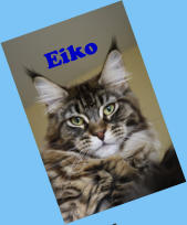 Eiko