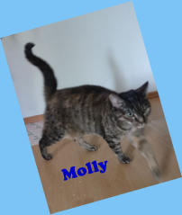 Molly