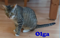 Olga