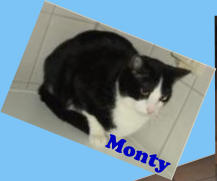 Monty