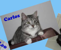 Carlos