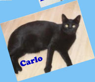 Carlo