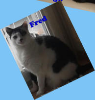 Fred