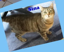 Sina