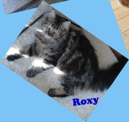 Roxy