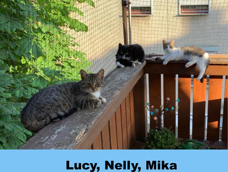 Lucy, Nelly, Mika