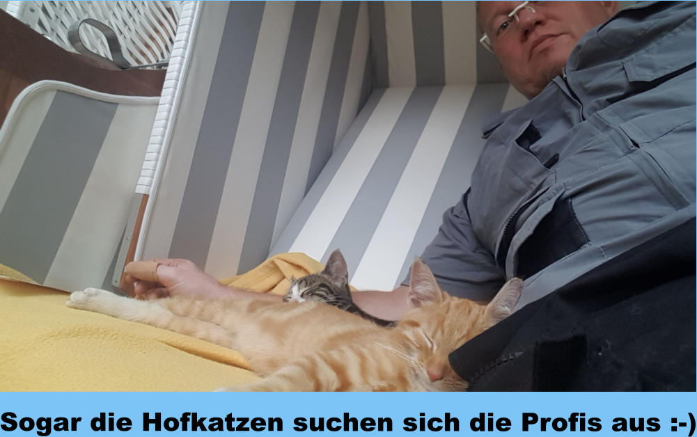 Sogar die Hofkatzen suchen sich die Profis aus :-)