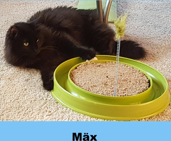 Mäx
